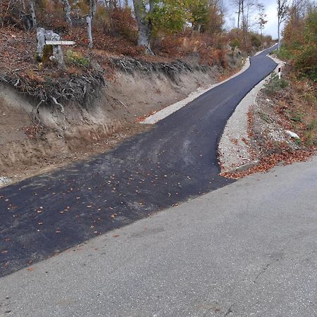 Villa Vikendica RANKOVIĆI Mokra Gora Esterno foto