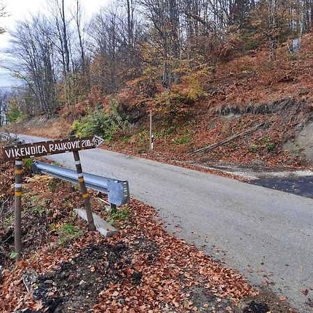 Villa Vikendica RANKOVIĆI Mokra Gora Esterno foto