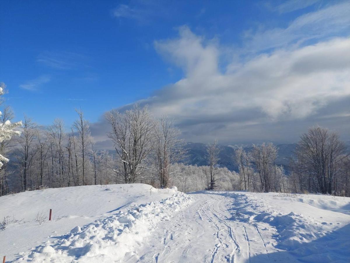 Villa Vikendica RANKOVIĆI Mokra Gora Esterno foto