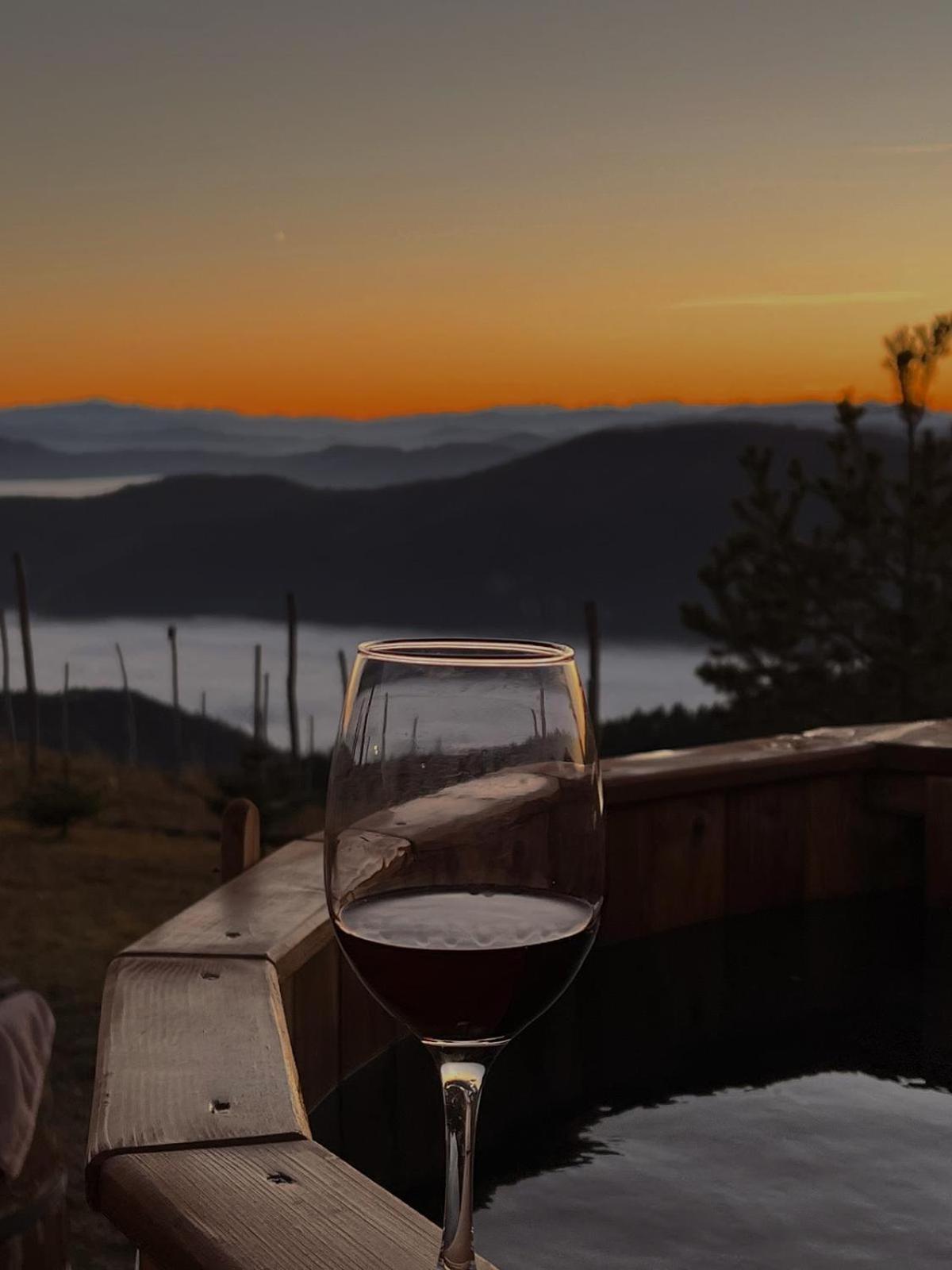 Villa Vikendica RANKOVIĆI Mokra Gora Esterno foto