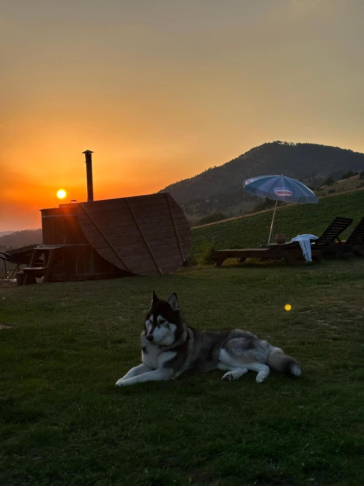 Villa Vikendica RANKOVIĆI Mokra Gora Esterno foto