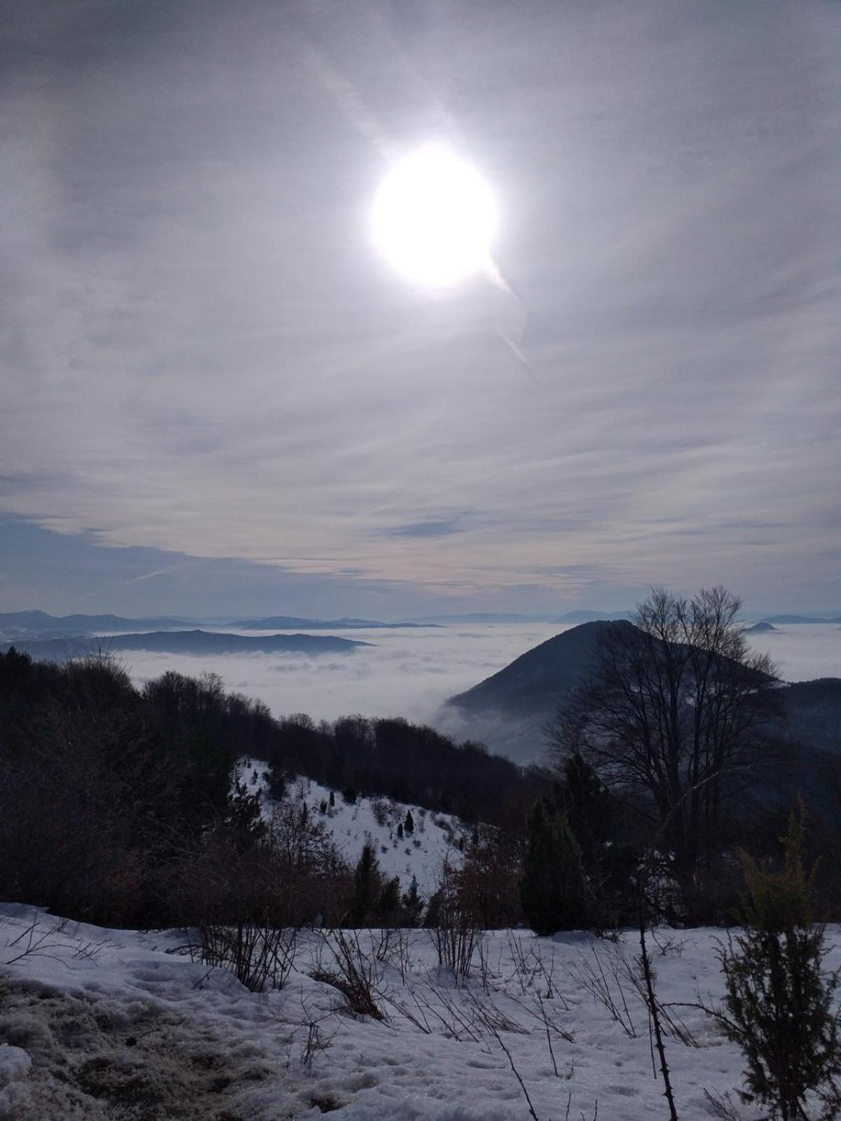 Villa Vikendica RANKOVIĆI Mokra Gora Camera foto