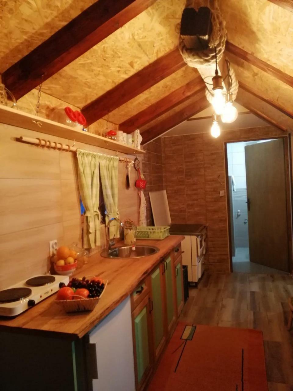 Villa Vikendica RANKOVIĆI Mokra Gora Esterno foto