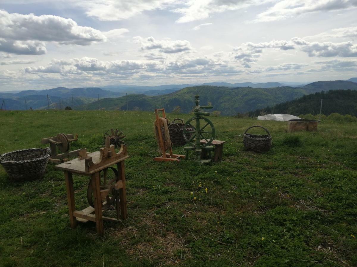 Villa Vikendica RANKOVIĆI Mokra Gora Esterno foto