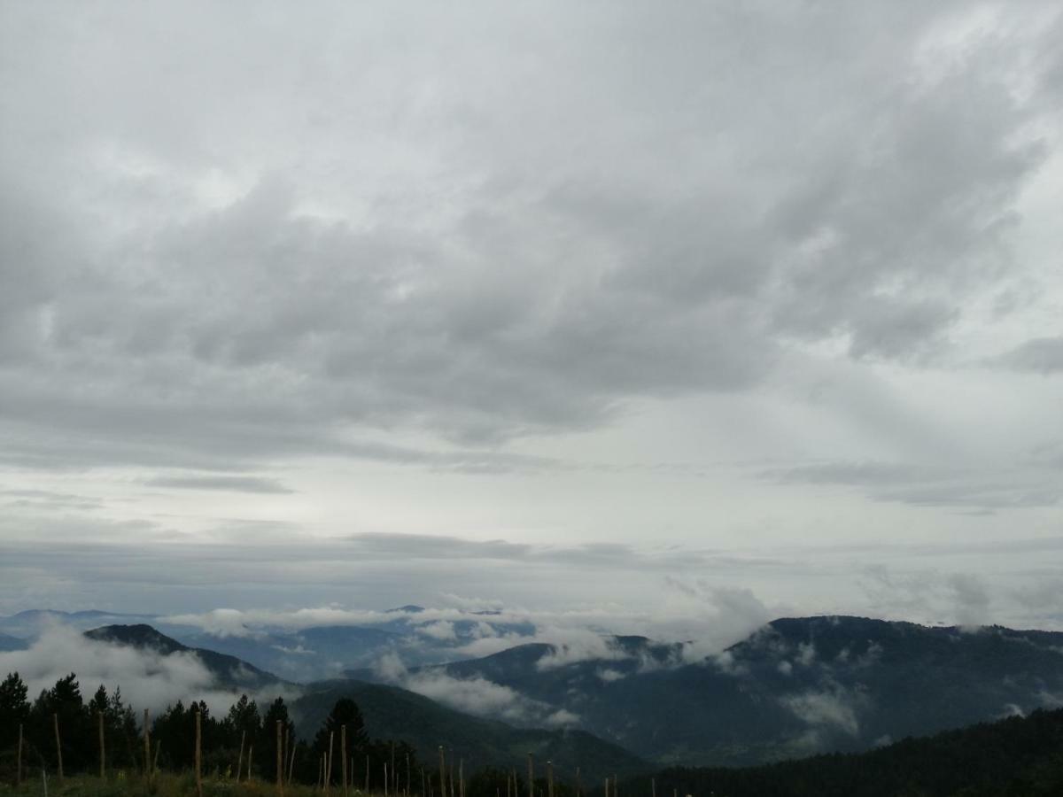 Villa Vikendica RANKOVIĆI Mokra Gora Esterno foto