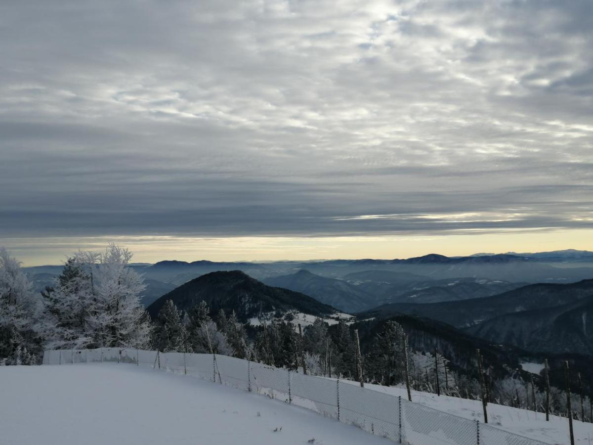 Villa Vikendica RANKOVIĆI Mokra Gora Esterno foto