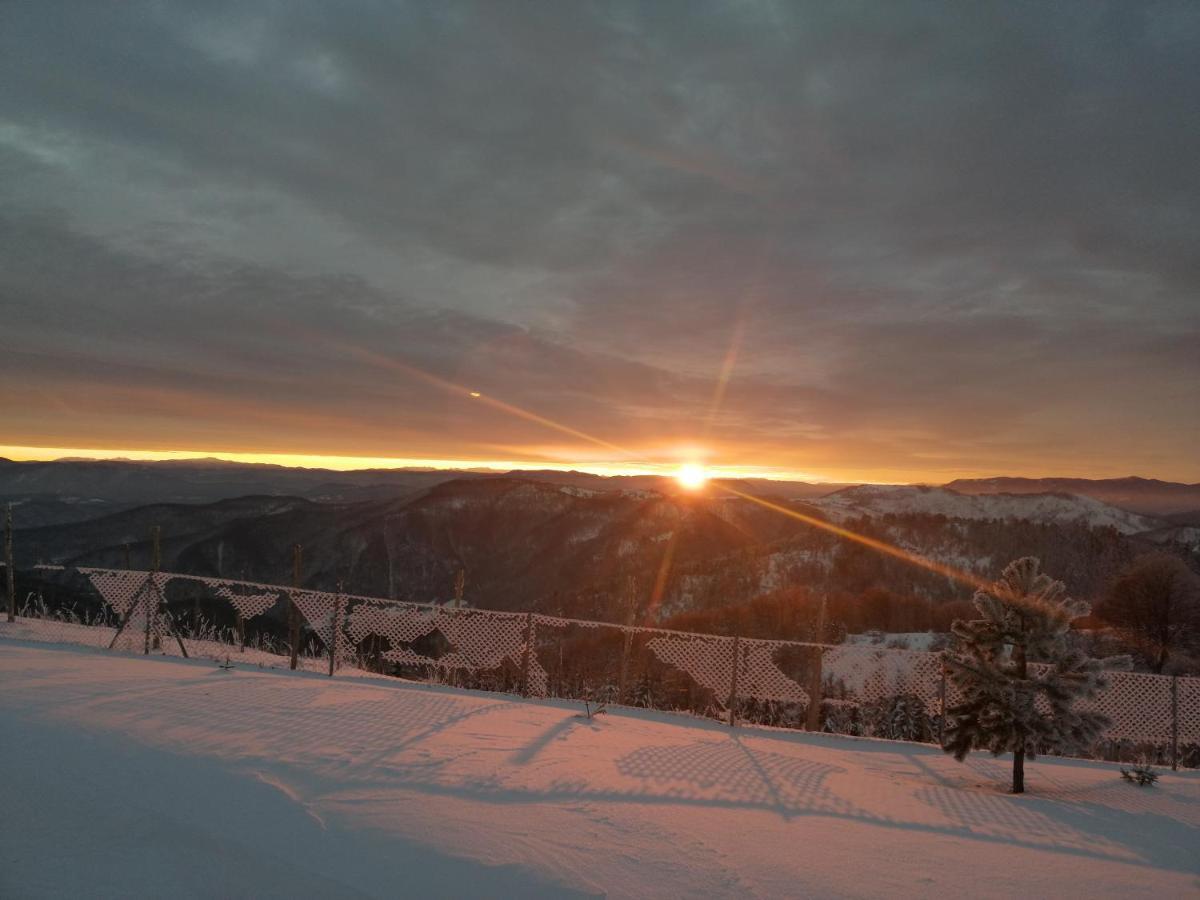 Villa Vikendica RANKOVIĆI Mokra Gora Esterno foto