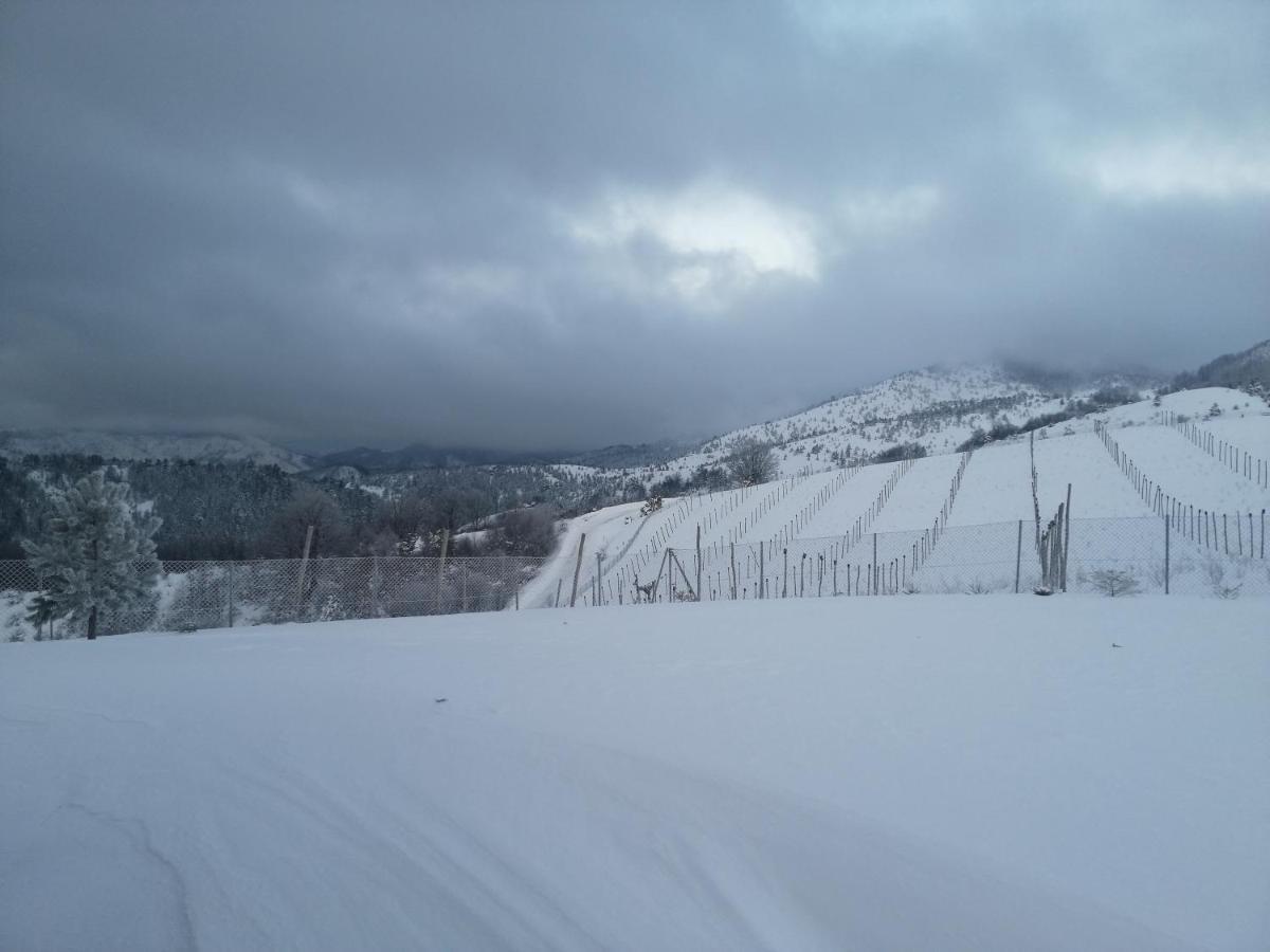 Villa Vikendica RANKOVIĆI Mokra Gora Esterno foto