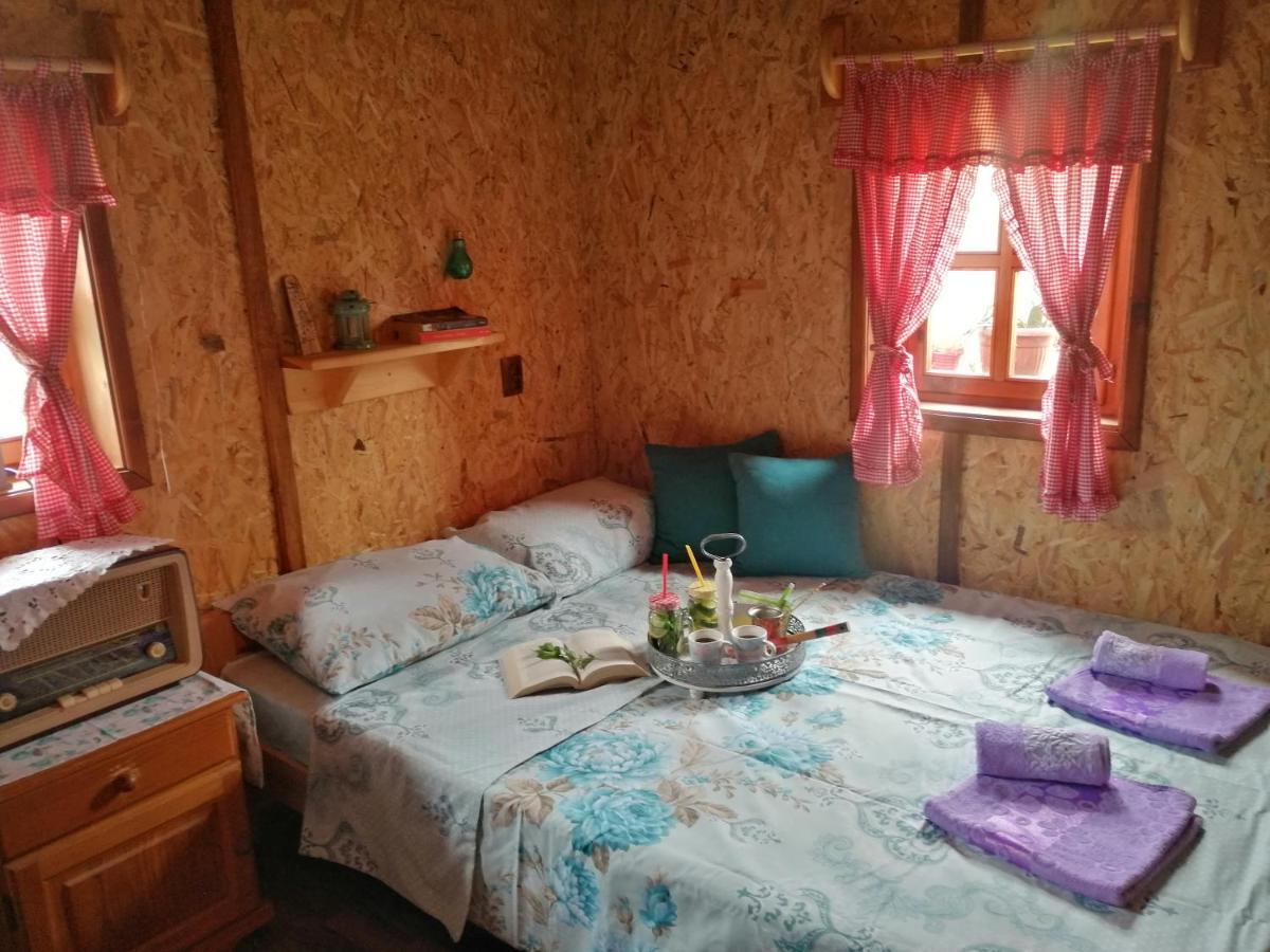 Villa Vikendica RANKOVIĆI Mokra Gora Esterno foto