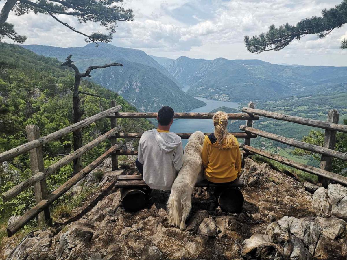Villa Vikendica RANKOVIĆI Mokra Gora Esterno foto